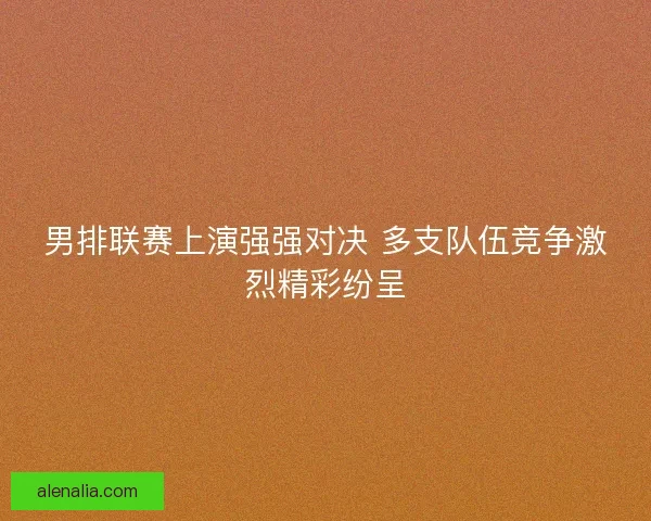 男排联赛上演强强对决 多支队伍竞争激烈精彩纷呈