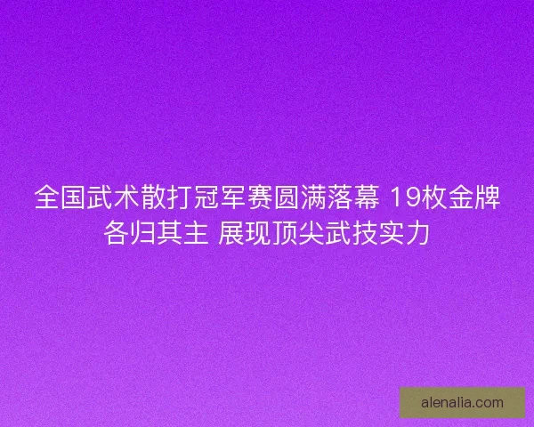 全国武术散打冠军赛圆满落幕 19枚金牌各归其主 展现顶尖武技实力