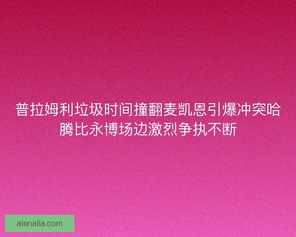 普拉姆利垃圾时间撞翻麦凯恩引爆冲突哈腾比永博场边激烈争执不断